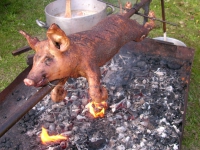 Cochon